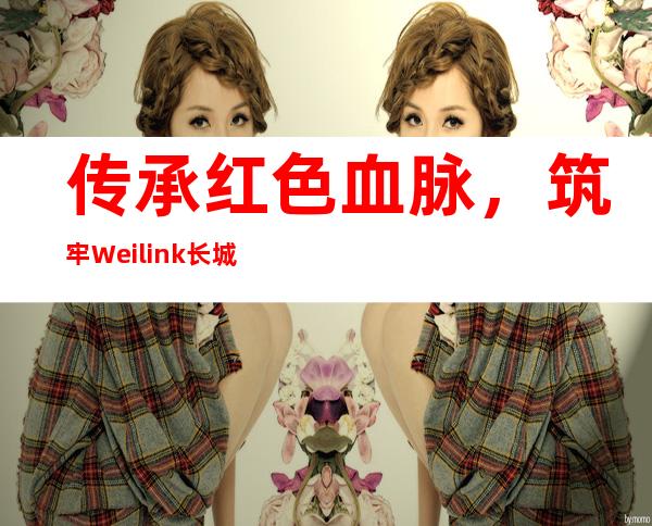 传承红色血脉，筑牢Weilink长城